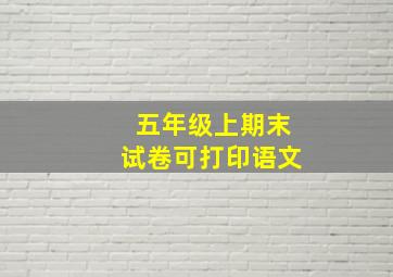 五年级上期末试卷可打印语文