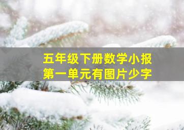 五年级下册数学小报第一单元有图片少字