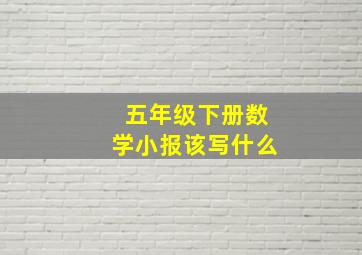 五年级下册数学小报该写什么