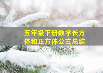 五年级下册数学长方体和正方体公式总结