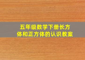 五年级数学下册长方体和正方体的认识教案