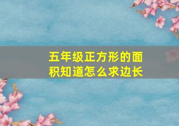 五年级正方形的面积知道怎么求边长