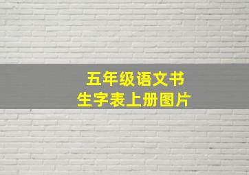 五年级语文书生字表上册图片