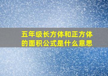 五年级长方体和正方体的面积公式是什么意思