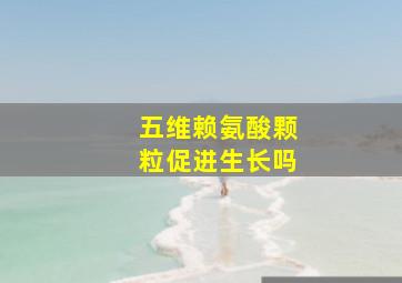 五维赖氨酸颗粒促进生长吗