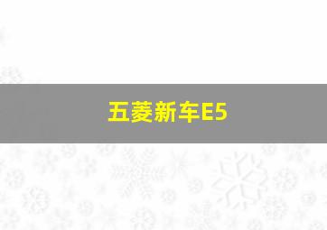 五菱新车E5