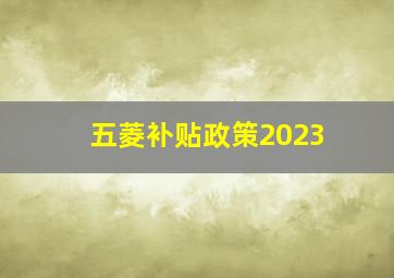 五菱补贴政策2023