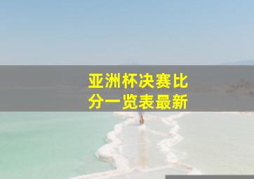 亚洲杯决赛比分一览表最新