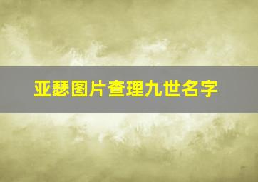 亚瑟图片查理九世名字