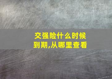 交强险什么时候到期,从哪里查看