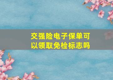 交强险电子保单可以领取免检标志吗