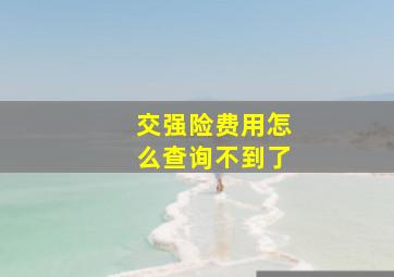 交强险费用怎么查询不到了