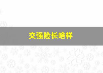 交强险长啥样