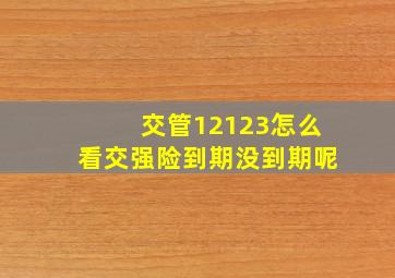 交管12123怎么看交强险到期没到期呢