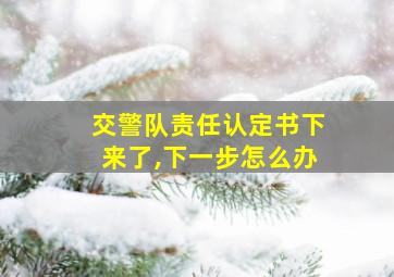 交警队责任认定书下来了,下一步怎么办