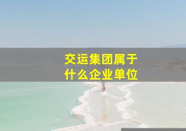 交运集团属于什么企业单位