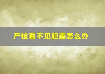 产检看不见胆囊怎么办