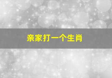 亲家打一个生肖