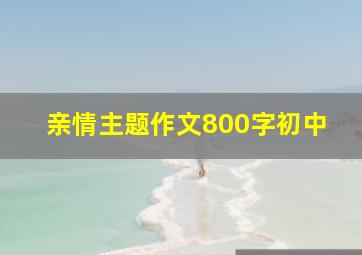 亲情主题作文800字初中