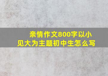 亲情作文800字以小见大为主题初中生怎么写