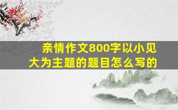 亲情作文800字以小见大为主题的题目怎么写的