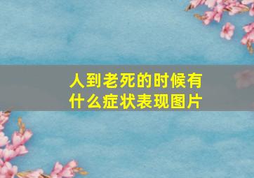 人到老死的时候有什么症状表现图片