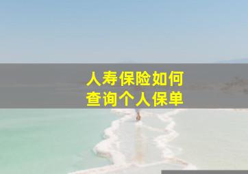 人寿保险如何查询个人保单