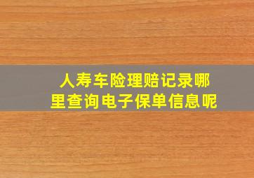 人寿车险理赔记录哪里查询电子保单信息呢