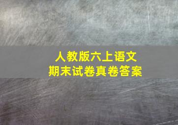 人教版六上语文期末试卷真卷答案