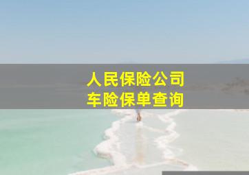 人民保险公司车险保单查询