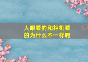 人眼看的和相机看的为什么不一样呢