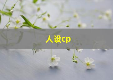 人设cp