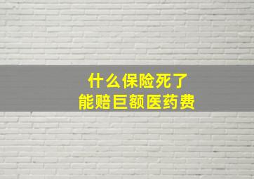 什么保险死了能赔巨额医药费