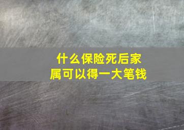 什么保险死后家属可以得一大笔钱