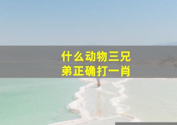 什么动物三兄弟正确打一肖