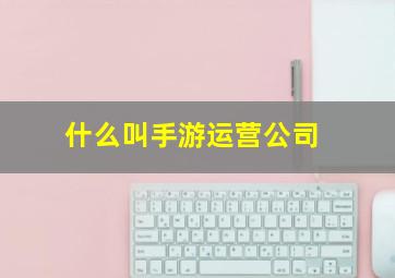 什么叫手游运营公司