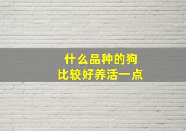 什么品种的狗比较好养活一点