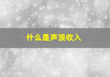 什么是声浪收入