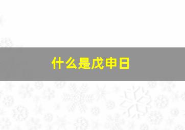 什么是戊申日