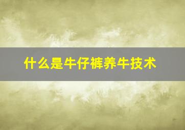 什么是牛仔裤养牛技术