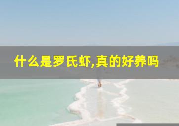 什么是罗氏虾,真的好养吗