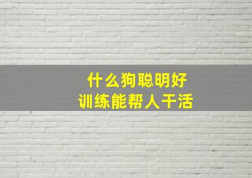 什么狗聪明好训练能帮人干活