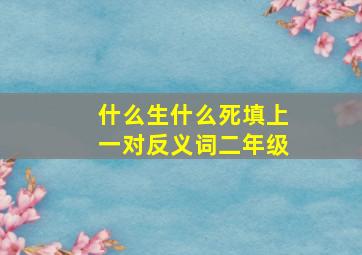 什么生什么死填上一对反义词二年级