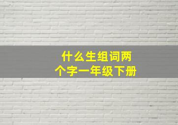 什么生组词两个字一年级下册