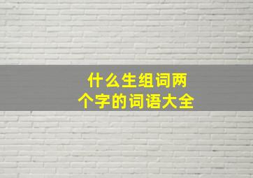 什么生组词两个字的词语大全