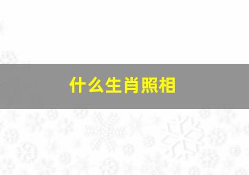 什么生肖照相