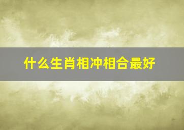 什么生肖相冲相合最好