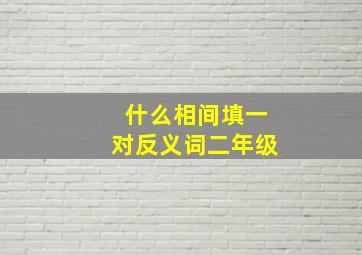 什么相间填一对反义词二年级