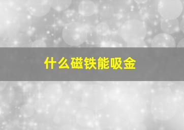 什么磁铁能吸金