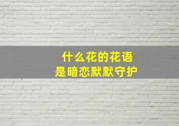 什么花的花语是暗恋默默守护